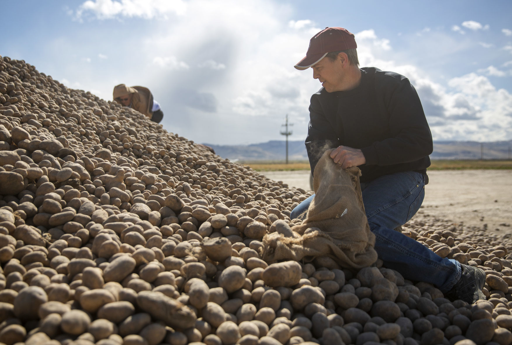 Potato farmers unable to sell all of their inventory